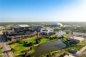 Artificial grass services in Arlington, TX