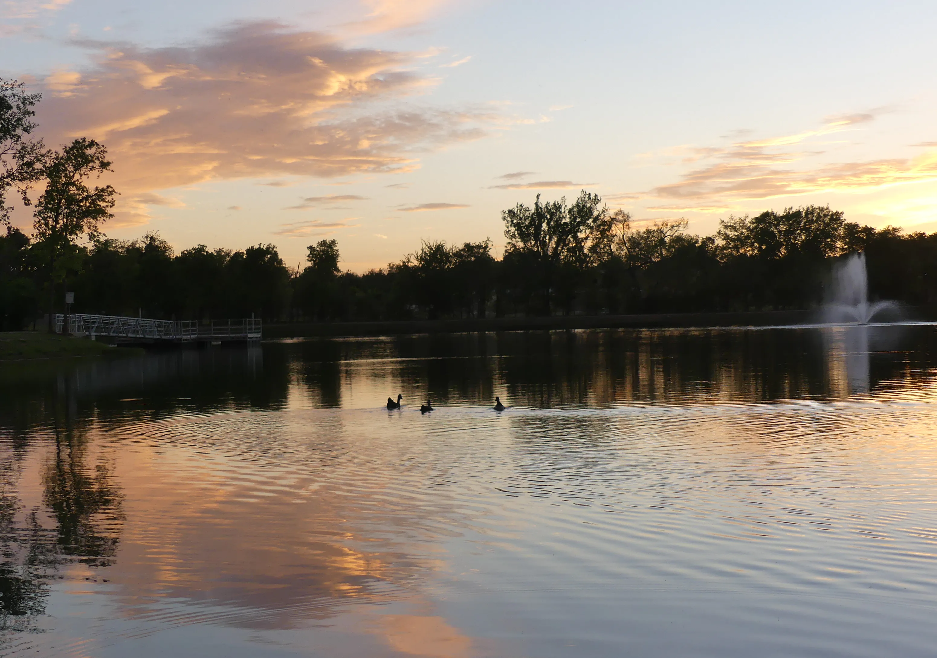 Artificial grass services in Burleson, TX