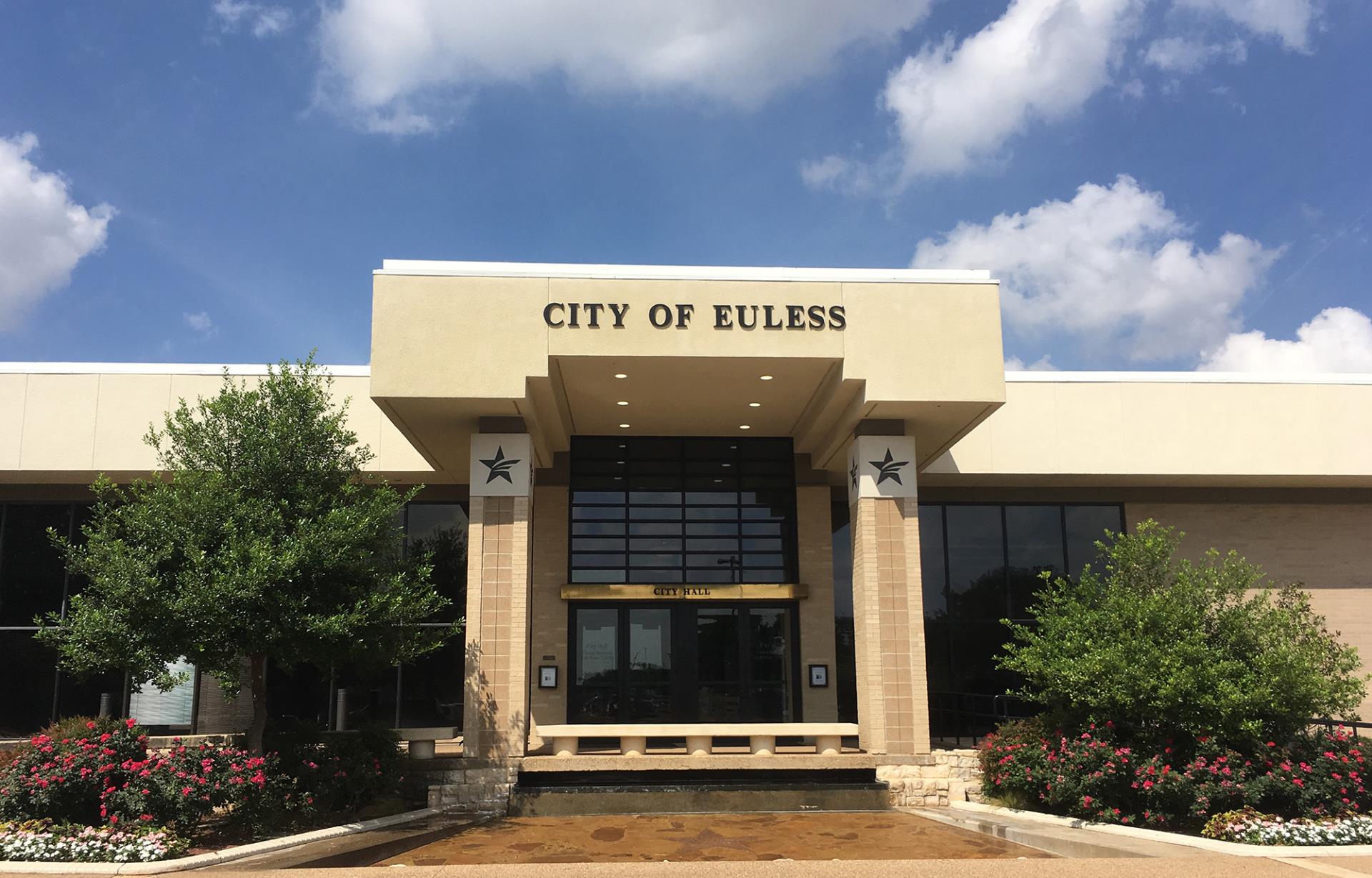 Artificial grass in Euless, TX